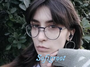 Sofigroot
