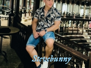 stevebunny DeriheruI