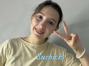Suehicks