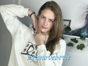 Synnovebevis