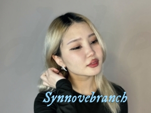 Synnovebranch