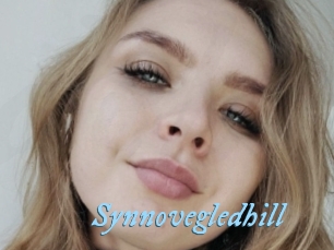 Synnovegledhill