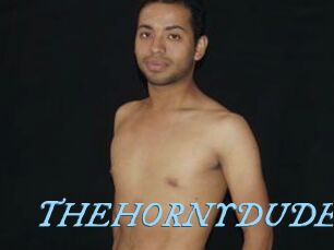 THEHORNYDUDE