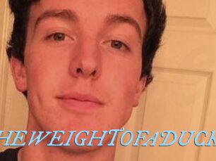 THEWEIGHTOFADUCK