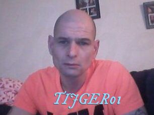 TIJGER01 DeriheruI