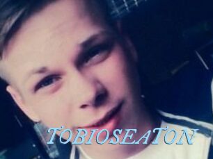 TOBIOS_EATON DeriheruI