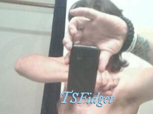 TSFidget