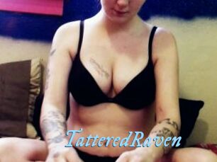 TatteredRaven