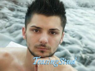TeasingStud