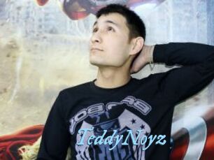 TeddyNoyz