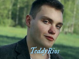 TeddyRios
