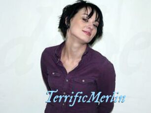 TerrificMerlin