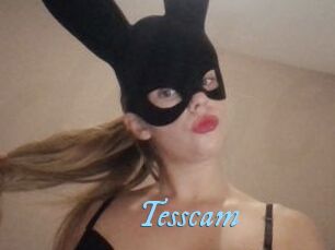 Tesscam