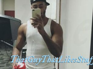 ThatGuyThatLikesStuff