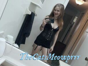 TheCatsMeowprrr