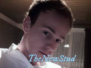 TheNewStud