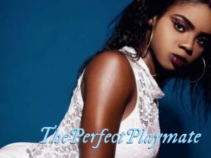 ThePerfectPlaymate