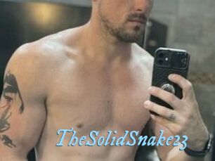 TheSolidSnake23 DeriheruI