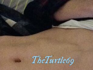 TheTurtle69
