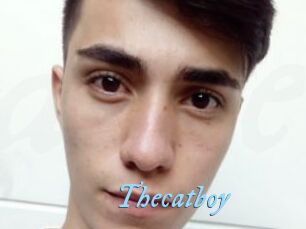 Thecatboy