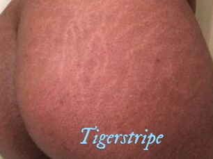 Tigerstripe