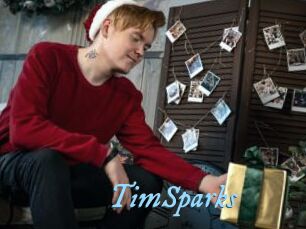 TimSparks