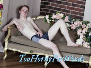 TooHornyForWords