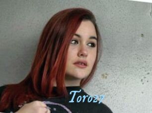 Toro27