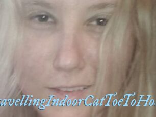 TravellingIndoorCatToeToHoe