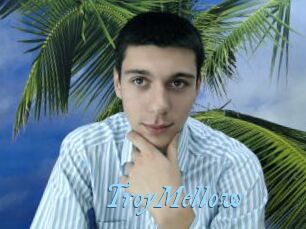 TroyMellow