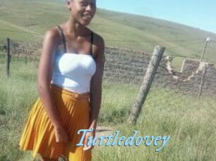 Turtledovey