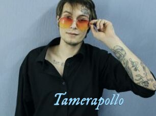 Tamerapollo