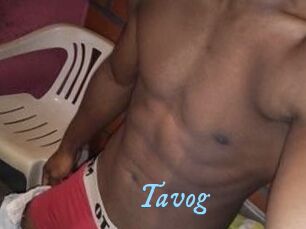 Tavog
