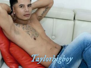 Taylorbigboy