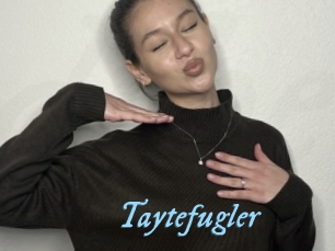 Taytefugler