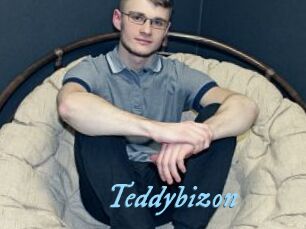 Teddybizon
