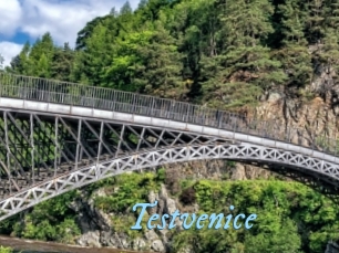 Testvenice