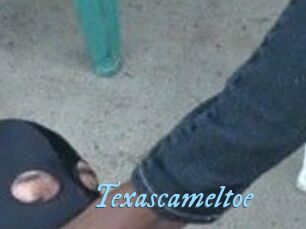 Texascameltoe