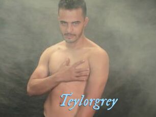 Teylorgrey