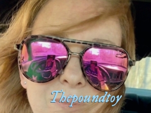 Thepoundtoy