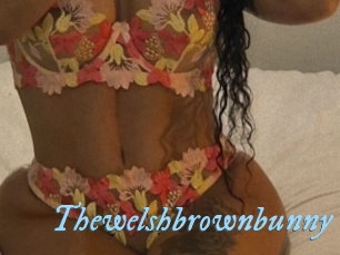 thewelshbrownbunny DeriheruI