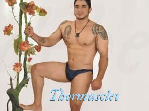 thormuscle1 DeriheruI