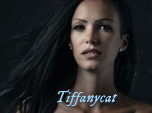 Tiffanycat