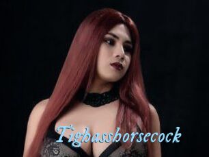 Tighasshorsecock