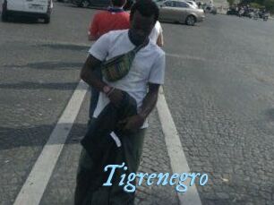 Tigrenegro