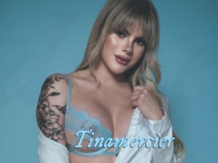 Tinamercier