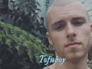 Tofu_boy
