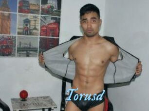 Torusd