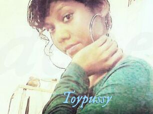 Toypussy