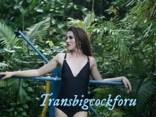 Transbigcockforu
